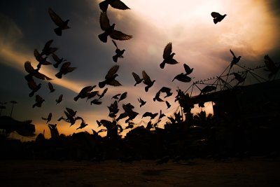 غروب الشمس من بلادي