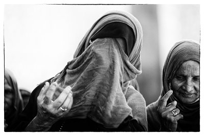 وجوه العشق الحسيني في زيارة الاربعين
