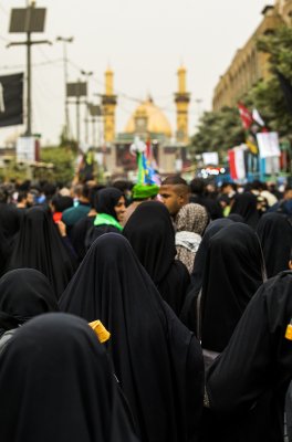 سيول العشق الحسيني
