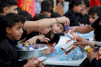 لماذا موكب (أشبال الطفّ)؟