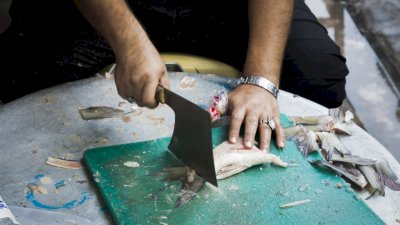 موكبُ (بنفسي أنتَ) الخدميّ يواصلُ تقديمَ الخدماتِ للزائرينَ