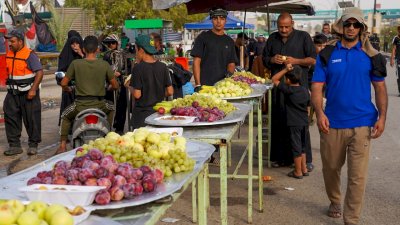 قسم المعارف يختتم نشاطاته الخاصة بزيارة الأربعين 1447هـ