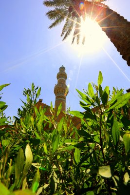مرقد ثقة الاسلام الشيخ ابو جعفر محمد بن يعقوب بن اسحاق الكليني الرازي البغدادي