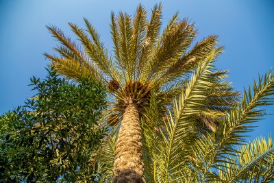 جامع ابي ذر الغفاري