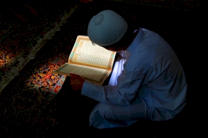 المؤمنون يُحيون ليلة القدر  وذكرى شهادة أمير المؤمنين(عليه السلام) في كربلاء