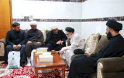 وفدُ الرعايةِ المعرفيّةِ يزورُ السيّدَ الأشكوريّ