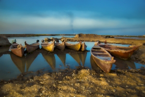  أهـوار العراق.. جنائن الماضي وسحر الحاضر