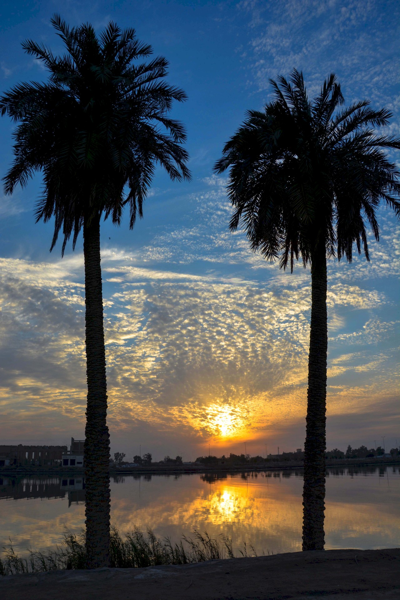مناظر طبيعية من منطقة الفيحاء  -  البصرة -  المصور أحمد عبد العباس