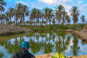 الاهواء - مكان الالتقاط: الاهوار
المصور: مركز تراث البصرة -احمد عبد العباس راضي