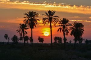 جمال مدينة البصرة وقت الغروب - مكان الالتقاط: محافظة البصرة - الصالحية
المصور: مركز تراث البصرة -احمد عبد العباس راضي