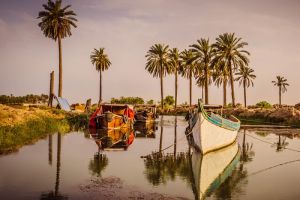 جمال مدينة البصرة - مكان الالتقاط: البصرة (شط العرب - الصالحية)
المصور: اعلام مركز تراث البصرة - محمد ستار