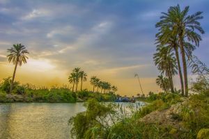 نهر الصالحية - المصور: احمد عبد العباس راضي