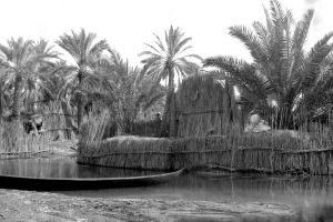 احتراقُ البصرةِ وبناؤها من اللّبنِ