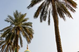 مرقد العلامة ابن ادريس - إعلام مركز تراث الحلة
