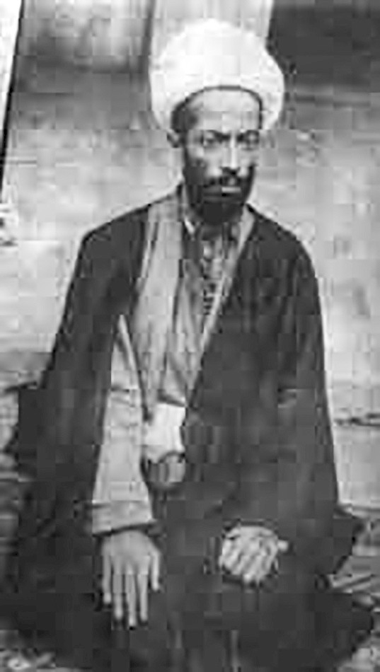 السيد محمد النجار