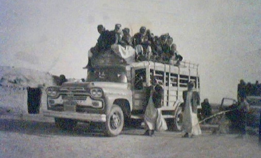 الباص الخشبي يغادر الحلة