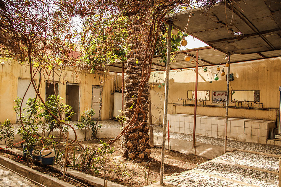 مسجد ابو حواض