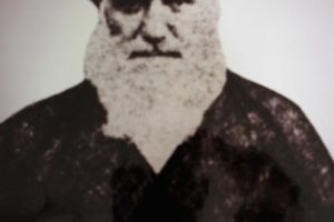 السيد مسلم الحلّي