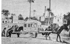 الباص الخشبي يغادر الحلة