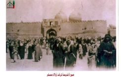 مِن مَراقدِ الهاشِميِّين فِي الحلَّة مرقدُ أولادِ مُسلم