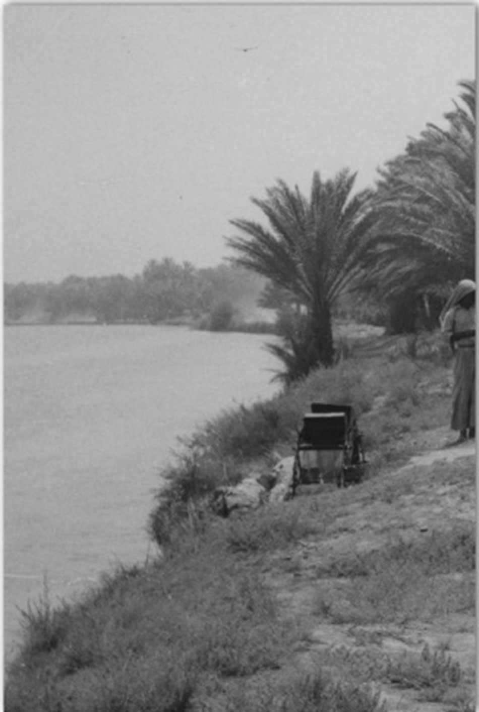 الوظائف الأساسية لمدينة الحلة