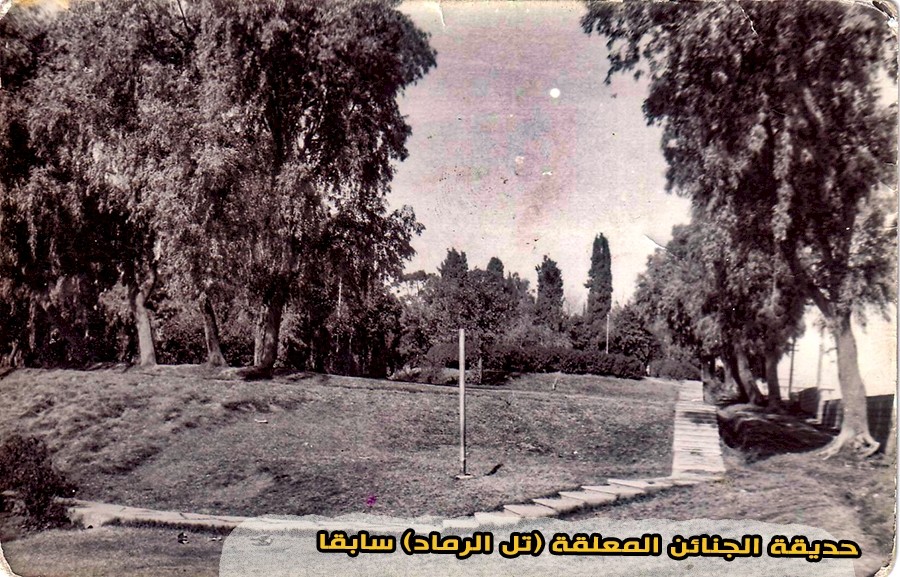 حديقةُ النســــــــــــاء