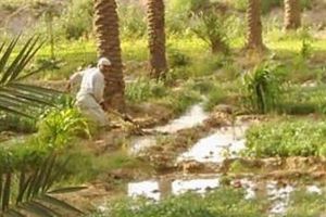 زراعة الحلة في العهد العثماني