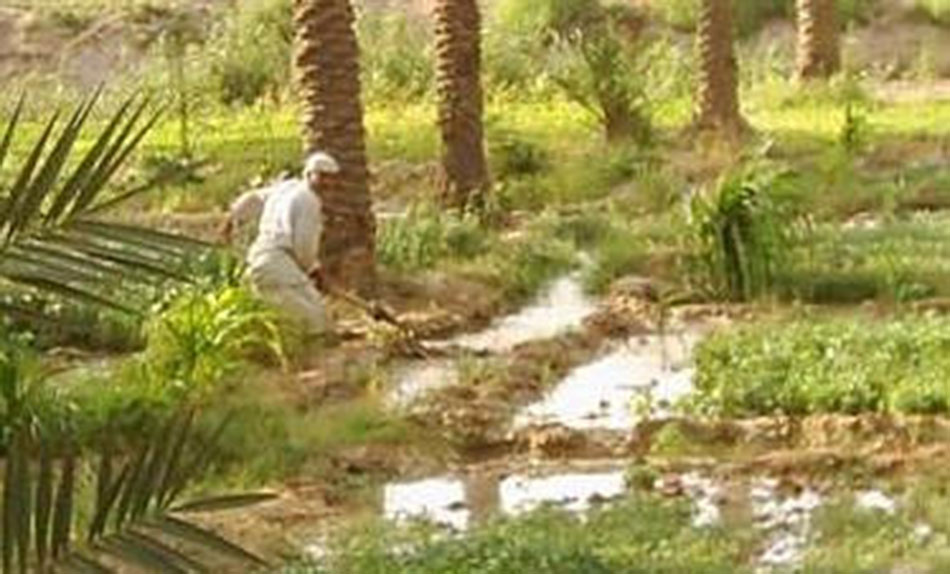 زراعة الحلة في العهد العثماني
