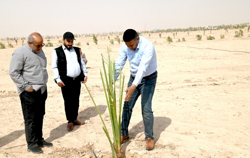 وفد من مركز تراث الجنوب برئاسة الدكتور الشرهاني يهدي إلى مزرعة الساقي فسائل نخيل من الأنواع المعروفة في محافظة ذي قار (الشويثي الأصفر).