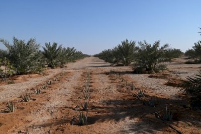 مركز تراث الجنوب في ضيافة العتبة العباسية المقدسة