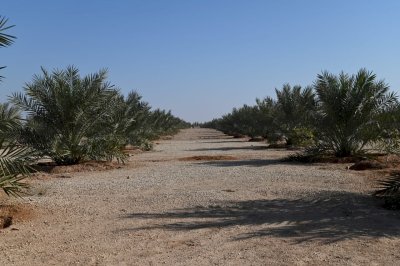مركز تراث الجنوب في ضيافة العتبة العباسية المقدسة