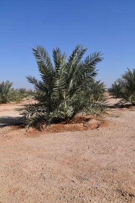 مركز تراث الجنوب في ضيافة العتبة العباسية المقدسة