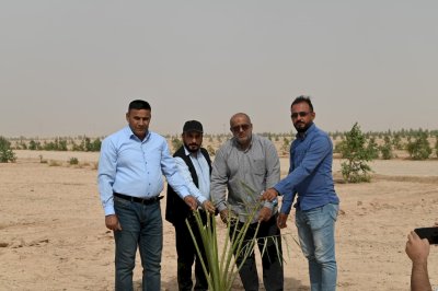وفد من مركز تراث الجنوب برئاسة الدكتور الشرهاني يهدي إلى مزرعة الساقي فسائل نخيل من الأنواع المعروفة في محافظة ذي قار (الشويثي الأصفر).