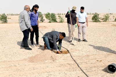 وفد من مركز تراث الجنوب برئاسة الدكتور الشرهاني يهدي إلى مزرعة الساقي فسائل نخيل من الأنواع المعروفة في محافظة ذي قار (الشويثي الأصفر).