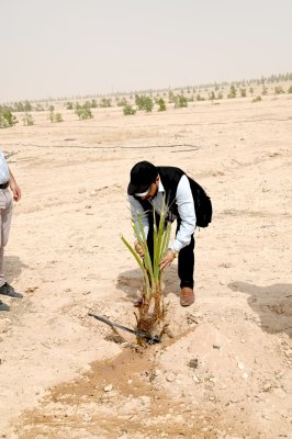 وفد من مركز تراث الجنوب برئاسة الدكتور الشرهاني يهدي إلى مزرعة الساقي فسائل نخيل من الأنواع المعروفة في محافظة ذي قار (الشويثي الأصفر).