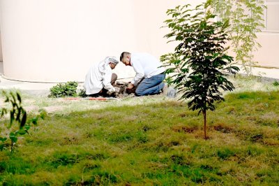 ضمن نشاطاته المجتمعية مركز تراث الجنوب ينتقل إلى جامعة ذي قار ليضع بصماته عليها.