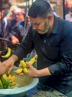 بعد مضي عشرين يوماً في الخدمة .. موكب (جنوب الولاء لحامل اللواء) يختتم فعالياته الخدمية