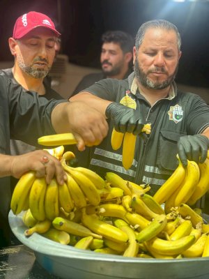بعد مضي عشرين يوماً في الخدمة .. موكب (جنوب الولاء لحامل اللواء) يختتم فعالياته الخدمية