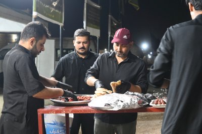 جنوب الولاء ... موائد حب ووفاء لخطى السائرين إلى كربلاء