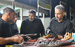 موكب جنوب الولاء لحامل اللواء يواصل تقديم خدماته لزائري الأربعينية