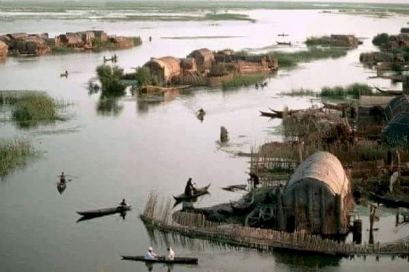 هور السناف