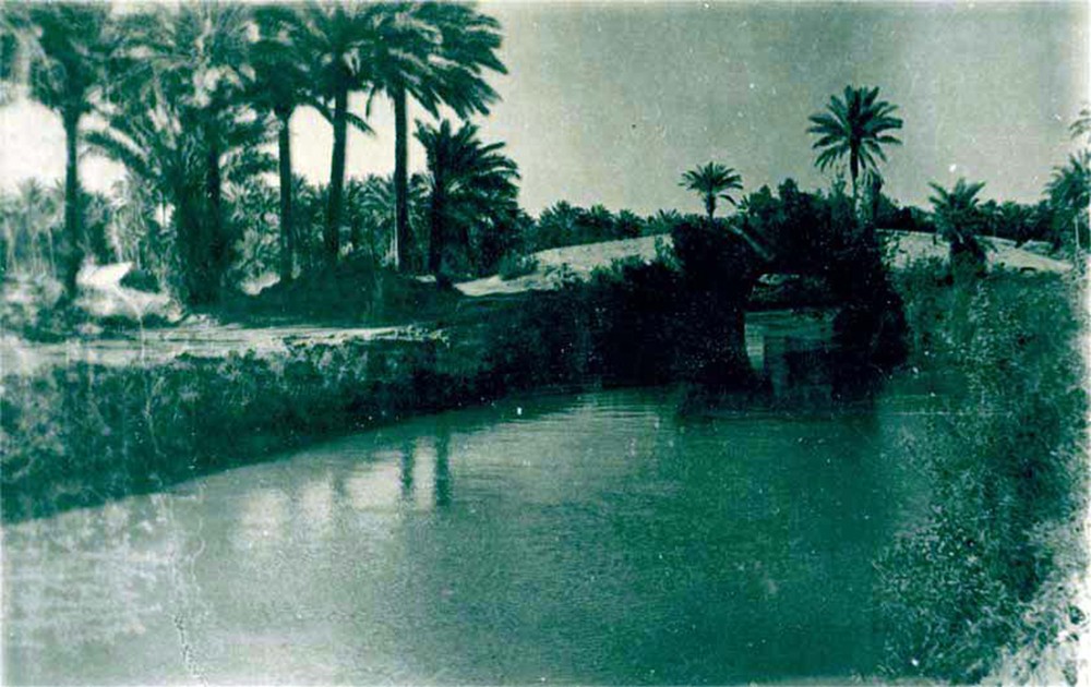 صور تراثية لبساتين كربلاء المقدسة