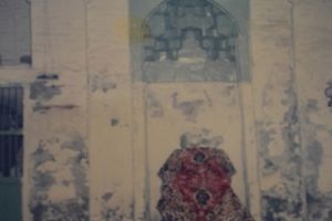 محراب مسجد الترك - المصور: علام مركز تراث كربلاء