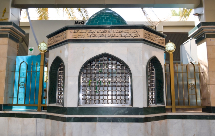 آية اللـه العظمى السيد محمد المجاهد