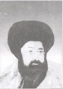السيد محمد المجاهد ...عيلم كربلاء وفخرها