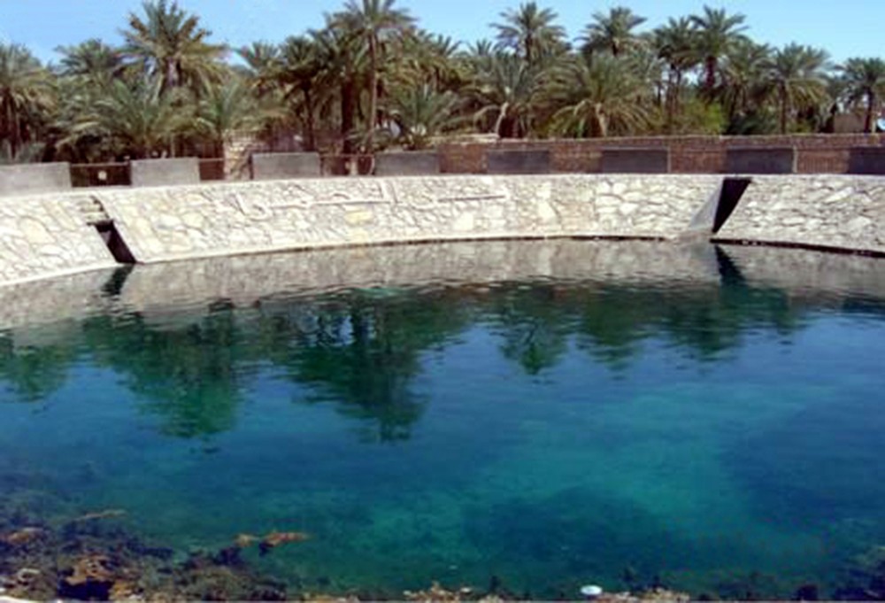 عين التمر