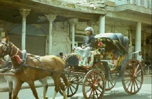 عربةُ الرَّبل.. مظهرٌ من مظاهرِ الحياة الكربلائية القديمة