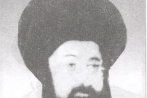 السيد محمد المجاهد ...عيلم كربلاء وفخرها