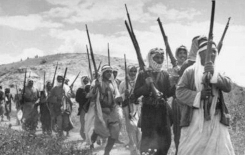 مَوقفُ الكربلائيّينَ من استفتاءِ شكلِ الحُكمِ في العِراقِ عام 1919م