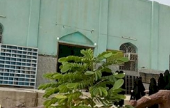 ماذا تعرف عن مقام السيد اسماعيل في شرق مدينة كربلاء المقدسة؟